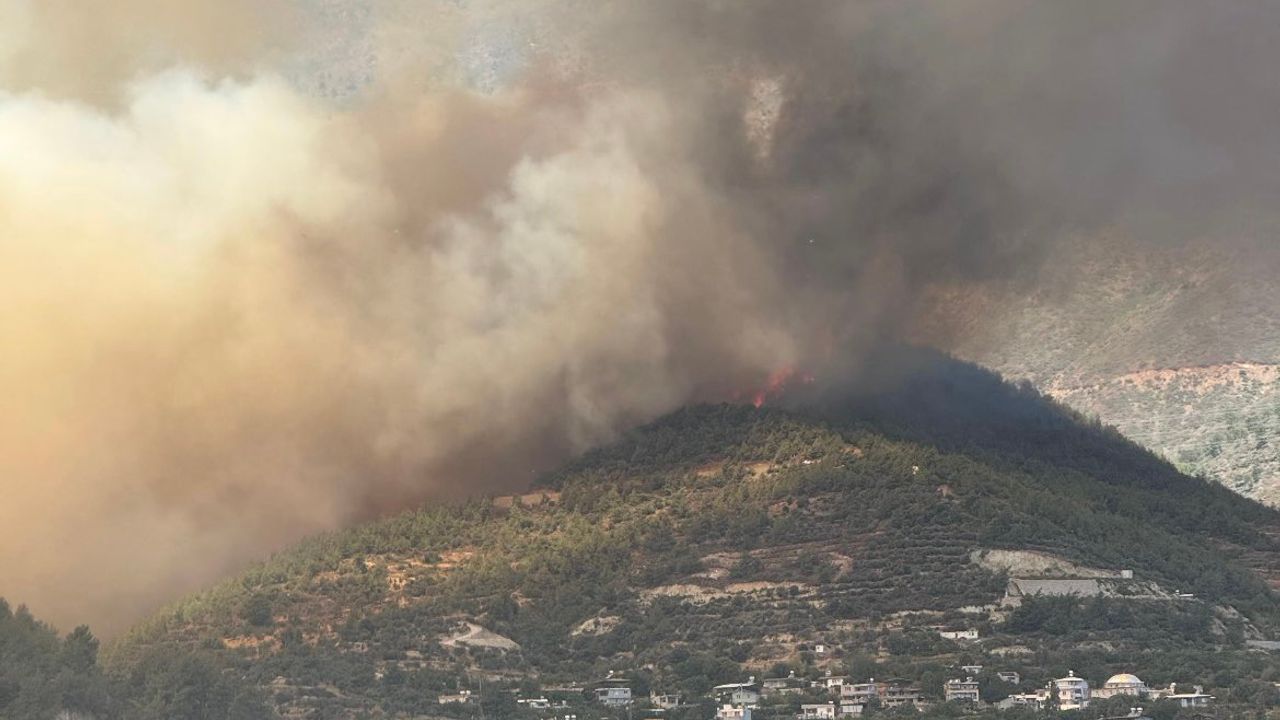 Hatay’da orman yangını