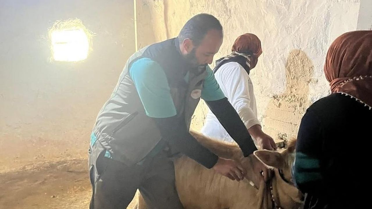 Kars Tarım ve Orman İl Müdürlüğü’nden hayvan sağlığında kararlı mücadele