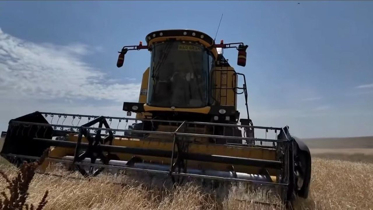 Kars’ta hasat mevsimi başladı: İlk arpa Digor Yeniköy’de biçildi