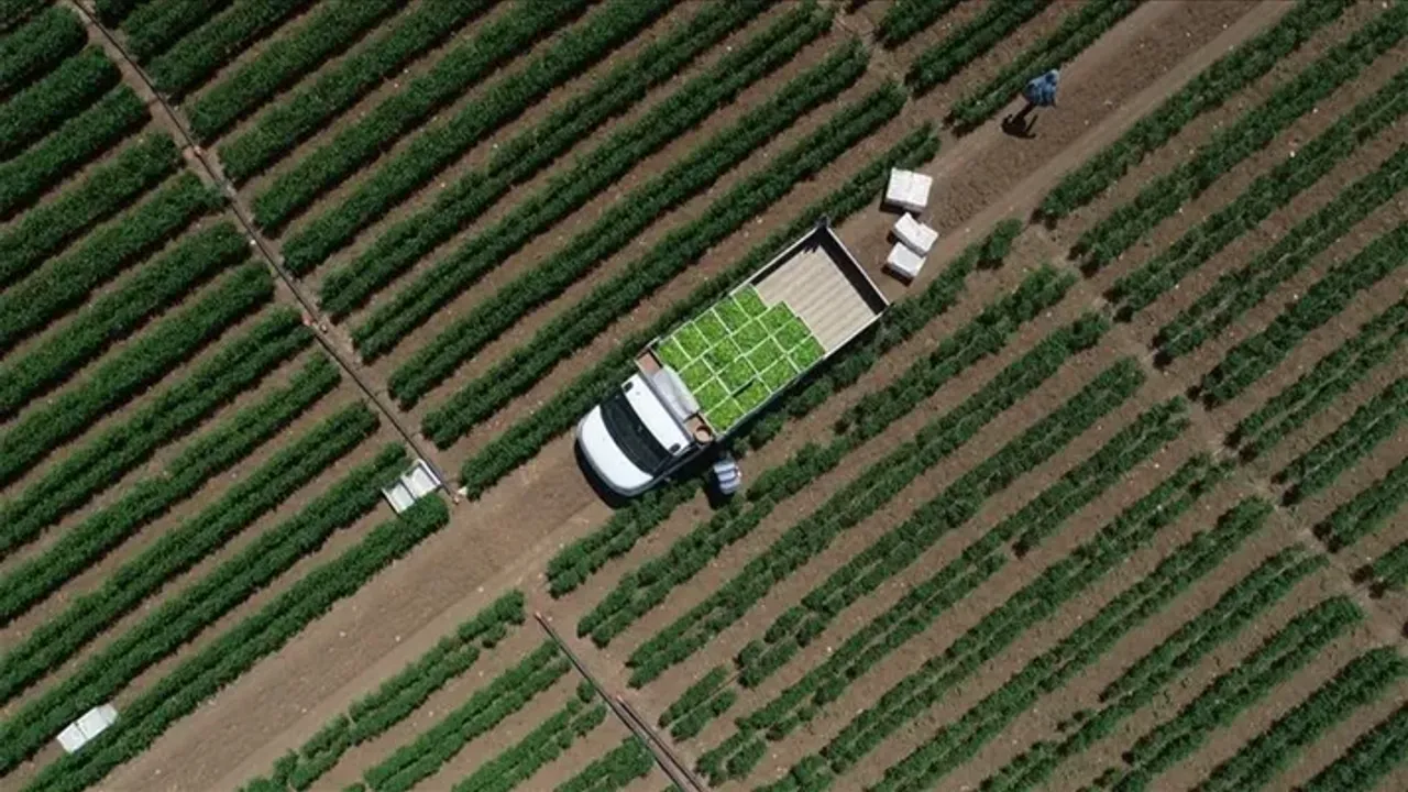 Çiftçinin gideri katlanıyor: Tarım-GFE martta yükseldi