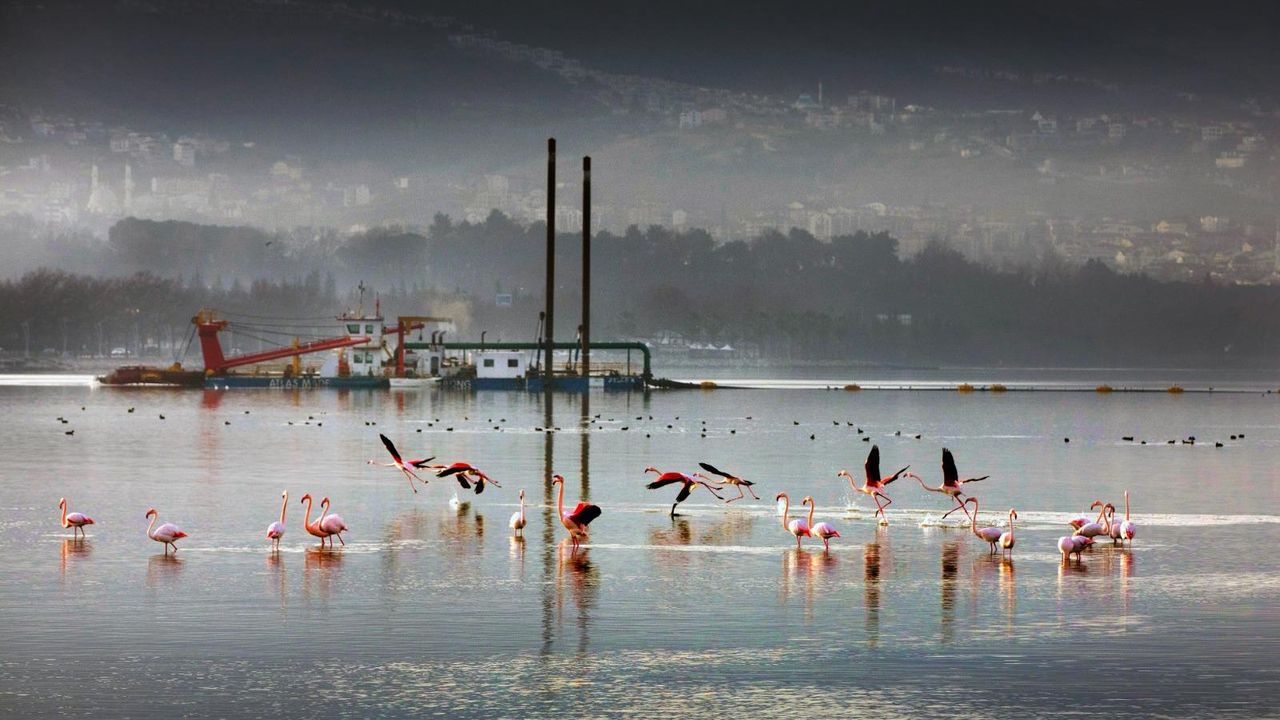 Kocaeli Büyükşehir’in Dip Çamuru Projesi’nde 2. etap: 170 hektar alan dip çamurundan arındırıldı