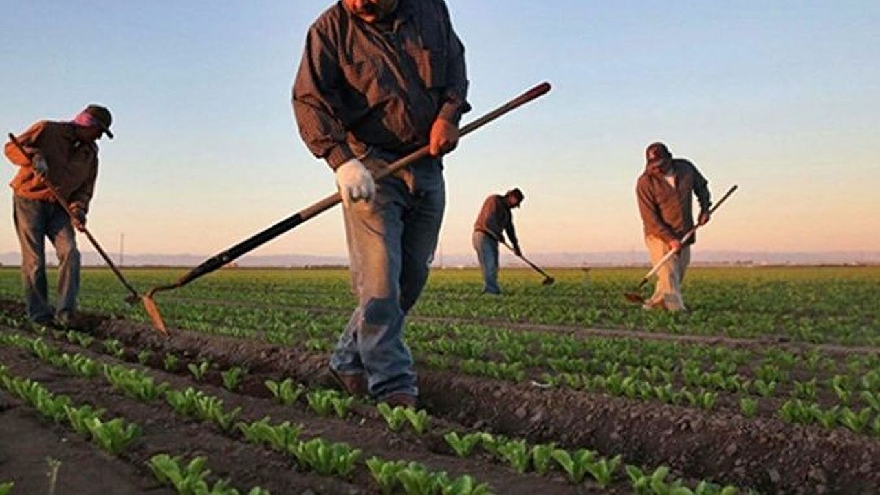 Çiftçilere 1,7 milyar liralık destekleme ödemesi yapılıyor