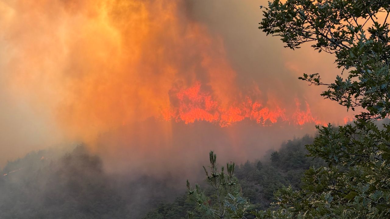 Sakarya Hendek’teki orman yangını soğutma aşamasında