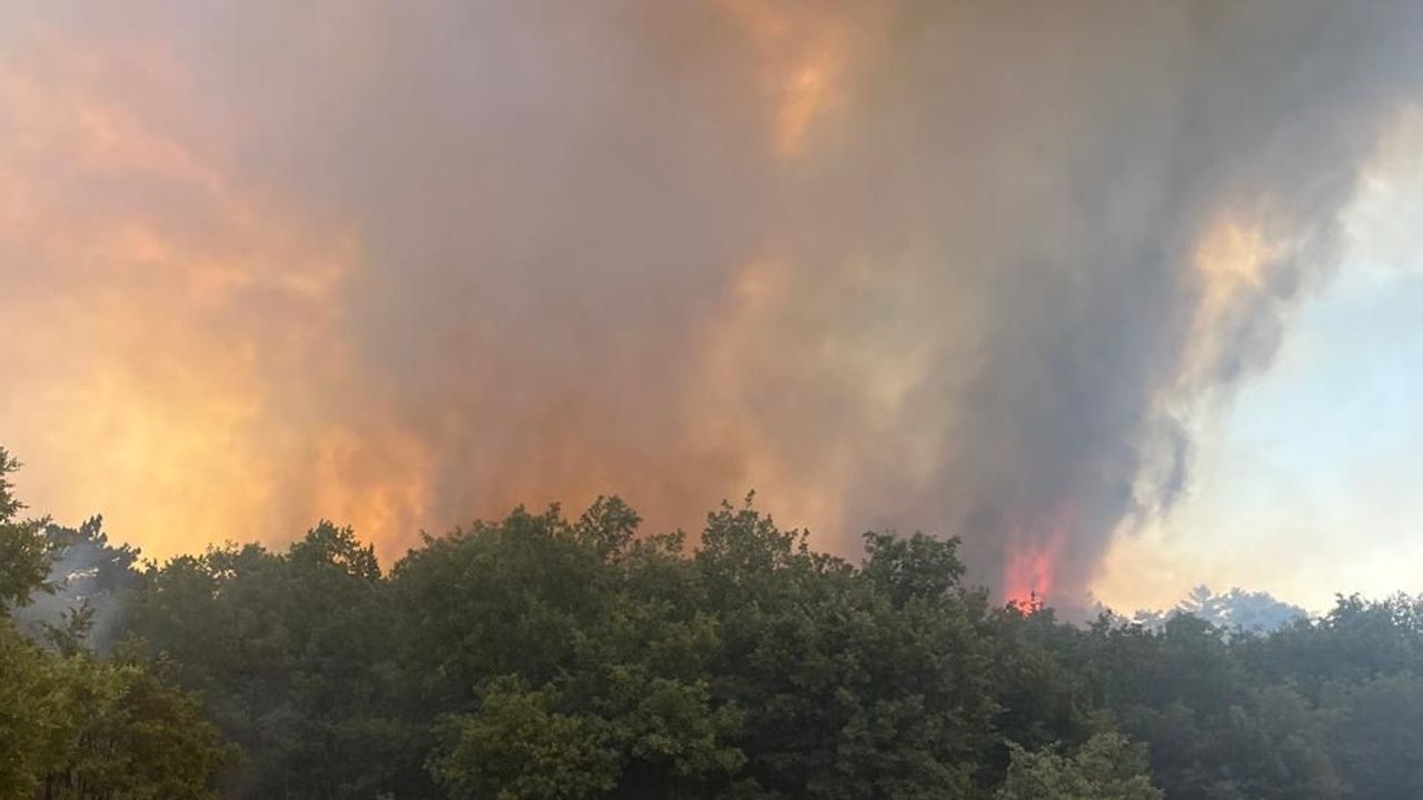 Sakarya’da peş peşe yangın!