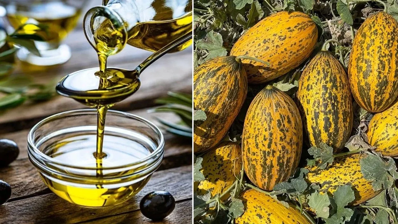 Anadolu’nun iki değeri daha AB’den tescil kazandı