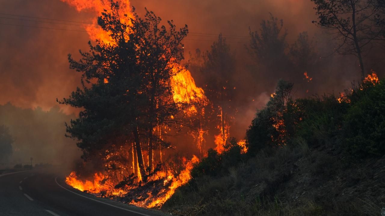 Bilecik ve İzmir, “Genel Hayata Etkili Afet Bölgesi” ilan edildi