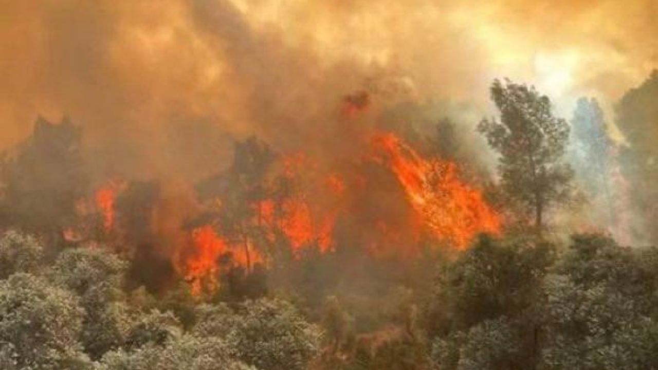 Son 15 günde yangınlarla ilgili 17 kişi tutuklandı