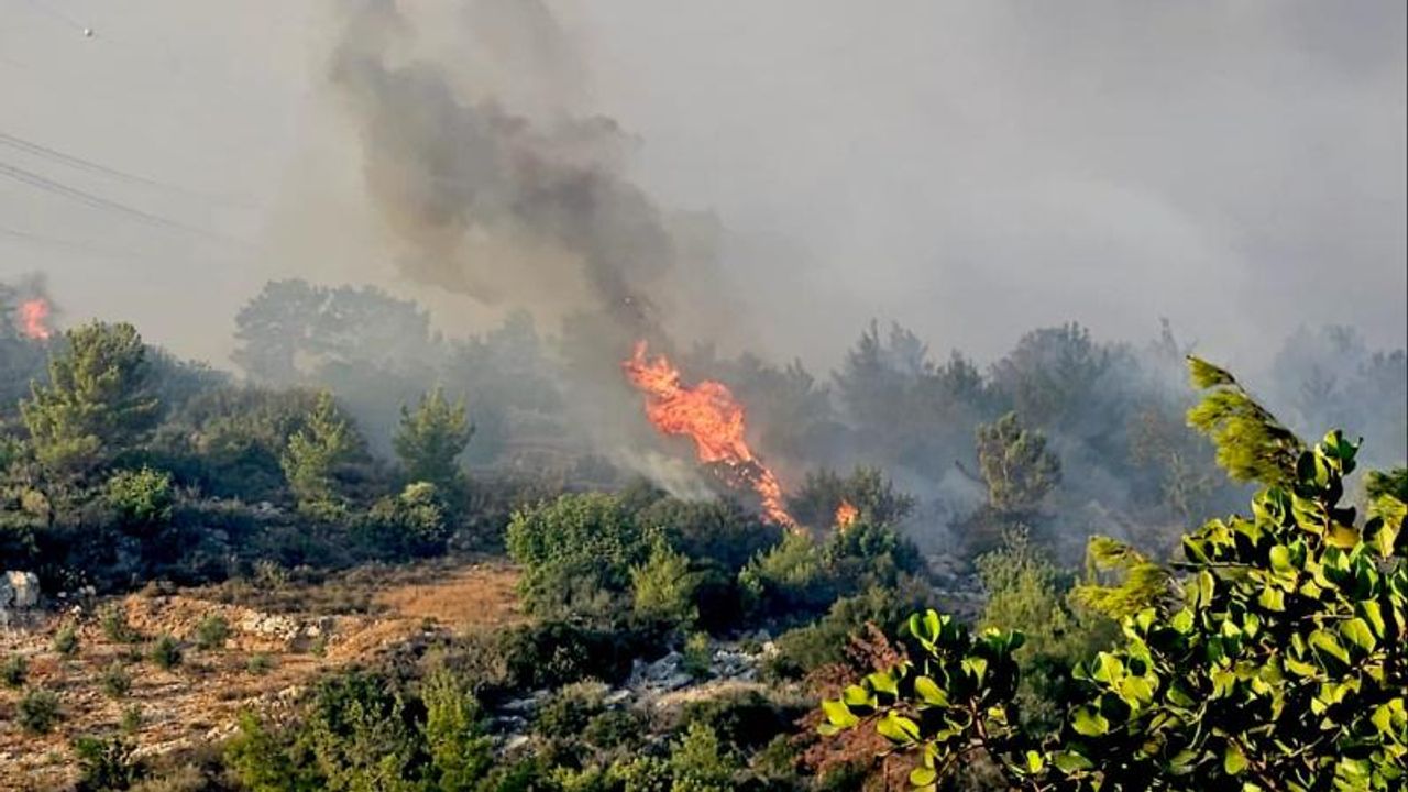İzmir’de orman yangını: Bornova’da başlayan alevler Buca’ya sıçradı