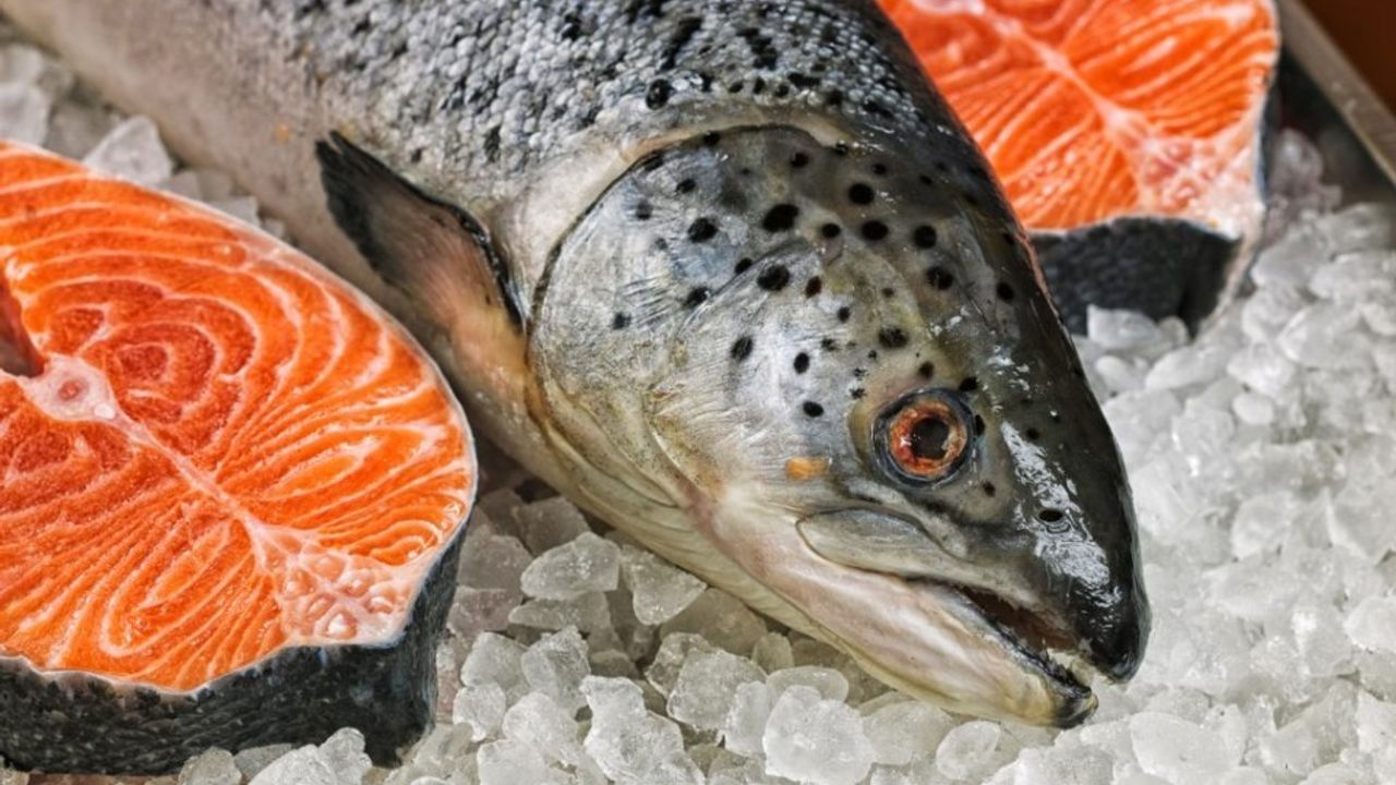 Doğu Karadeniz’in somon ihracatı 6 ayda 81,5 milyon doları aştı