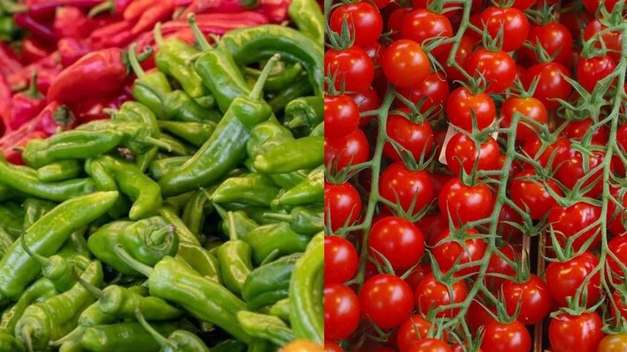 Sebze ihracatında ilk yarıda yüzde 10’luk artış