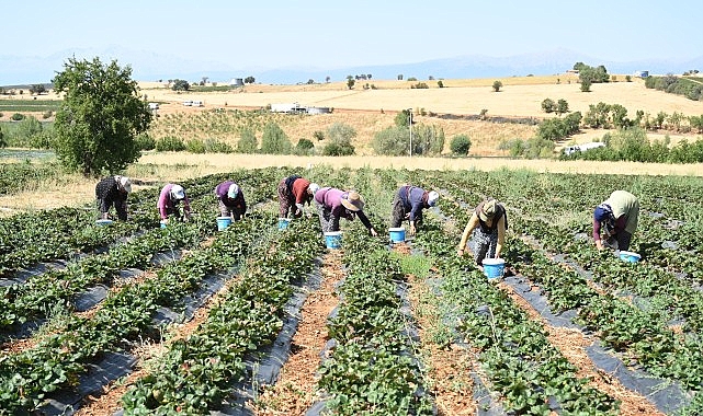 Başkan Altay: “Tarımın Her Alanında Üreticimizin Yanında Olmaya Devam Edeceğiz”