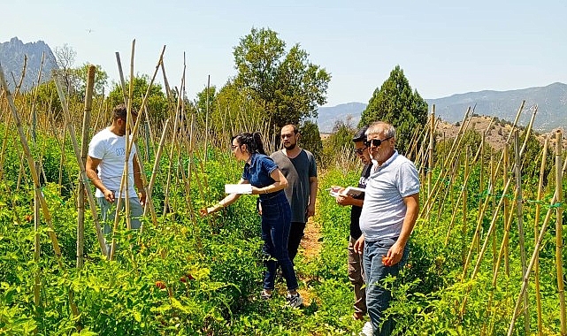 Çankaya Belediyesi’nden organik pazar denetimleri