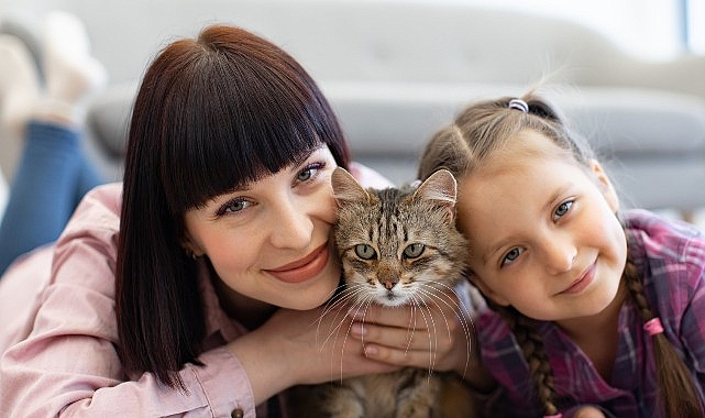 Kedilerin Hayatımıza Katkıları   Sadece Sevgiyle Sınırlı Değil