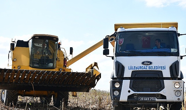 Lüleburgaz Belediyesi’nden ayçiçeği hasadı