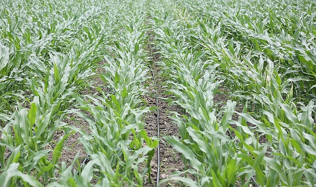 PepsiCo Suyun Geleceğini Koruma Konusunda Kararlı Adımlar Atmaya Devam Ediyor