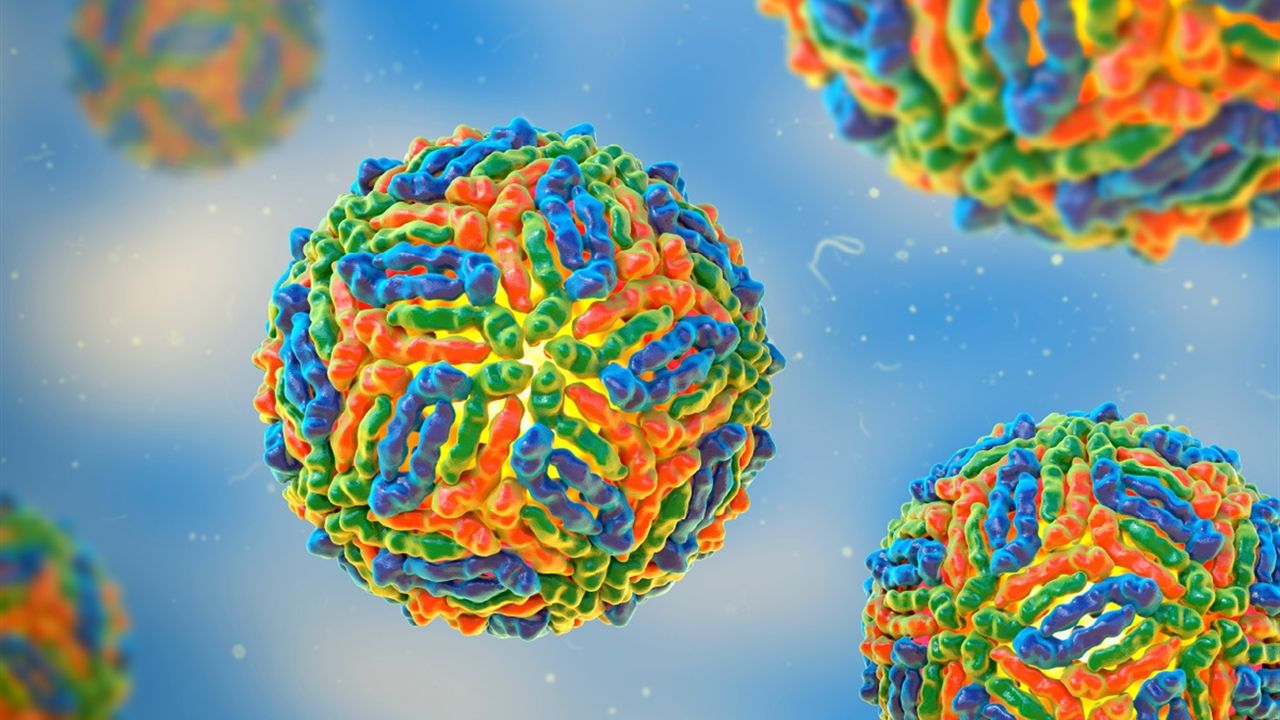 İtalya’da Batı Nil Virüsü vaka sayısı artışta