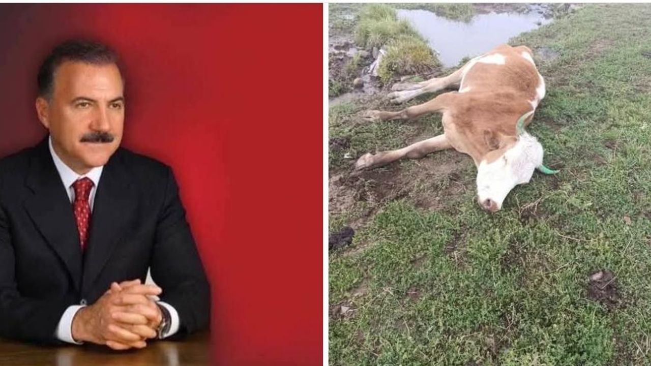 Kars Eski Belediye Başkanı Alibeyoğlu’ndan bağımsız hayvan hastalıkları araştırma enstitüsü çağrısı