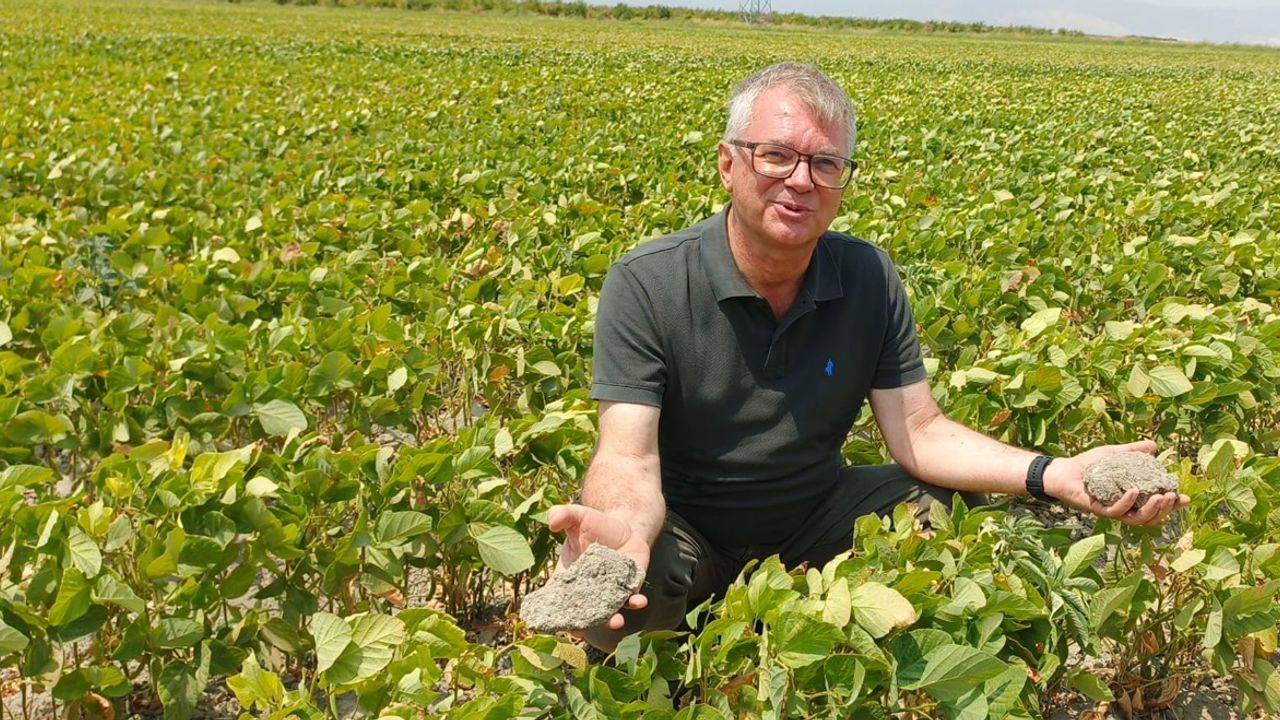 Hataylı çiftçiler: Züğürt Ağa olduk!