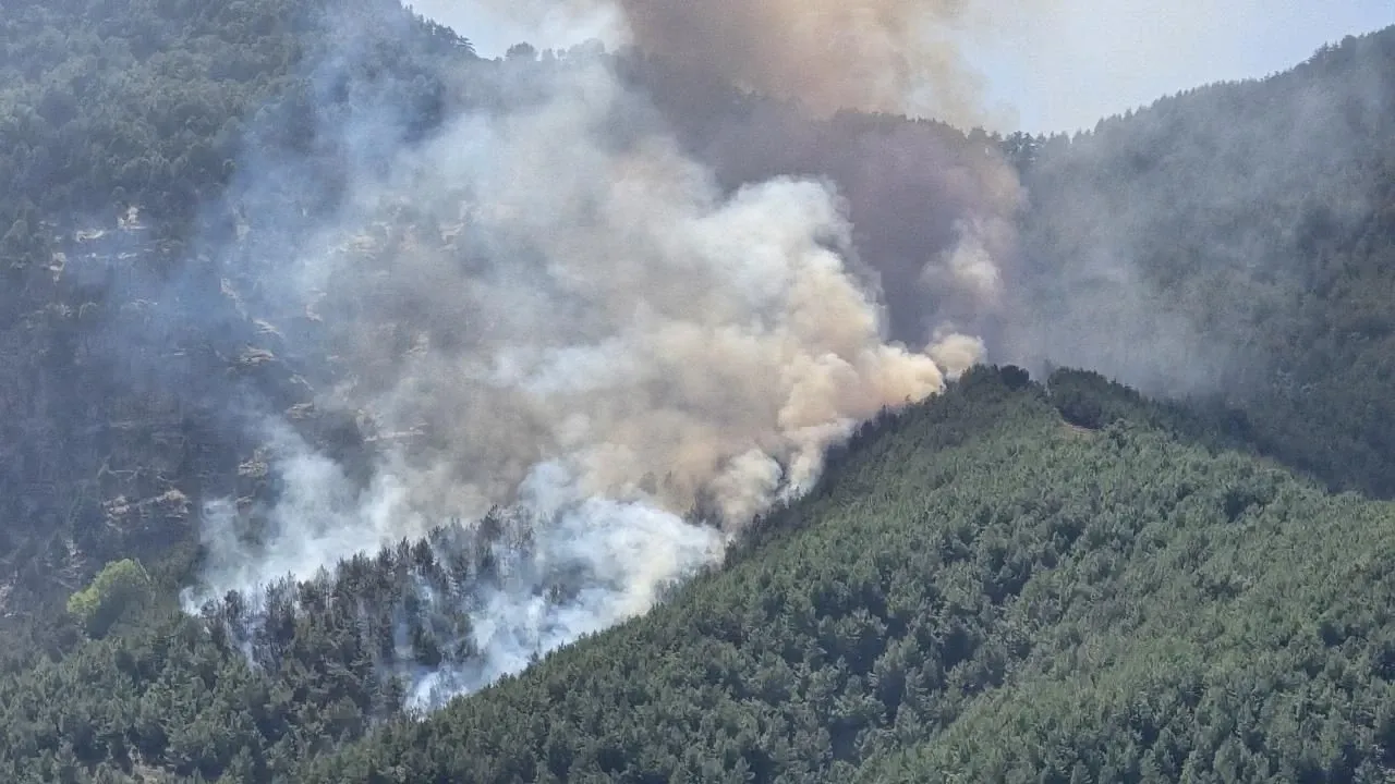 Bolu’da orman yangınına havadan ve karadan müdahale