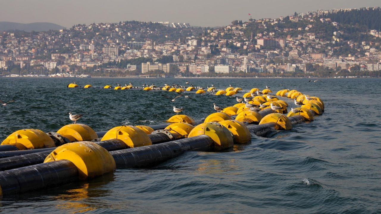 Çamur gidiyor, yeni canlılar geliyor