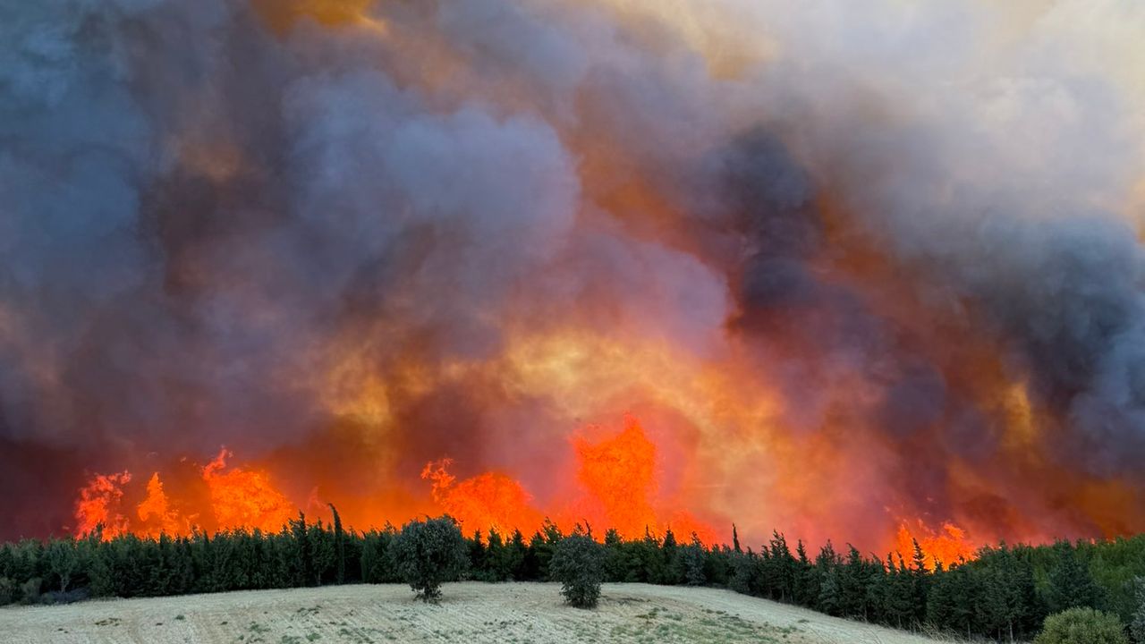 Hatay ve Mersin’de orman yangınları ikinci gününde: Tahliyeler ve yoğun müdahale sürüyor