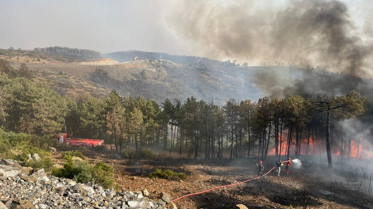 Makilik ve Otluk alanda çıkan yangın büyümeden söndürüldü