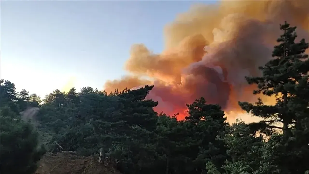 Adana İmamoğlu’nda orman yangını