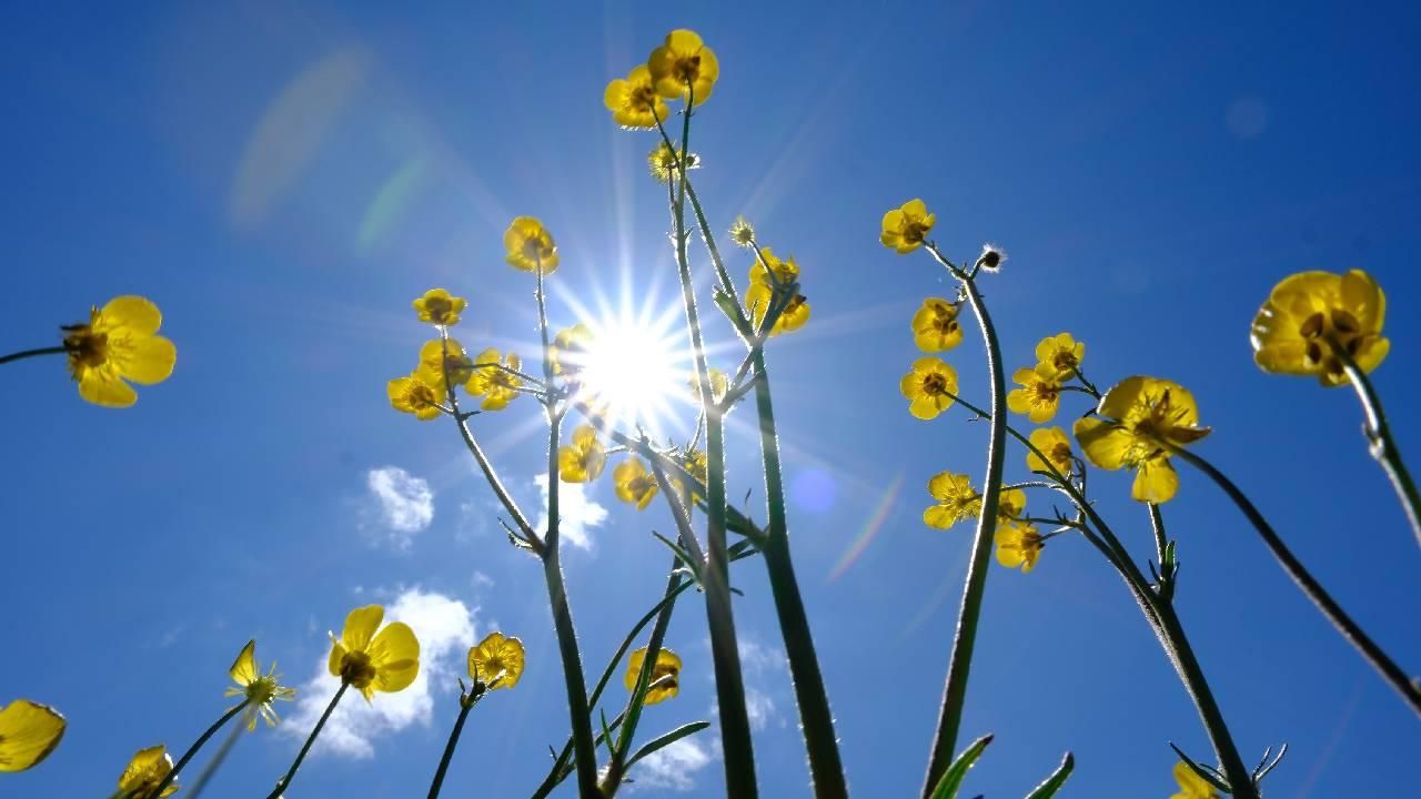 Sıcak hava geri dönüyor: Cuma günü zirve yapacak