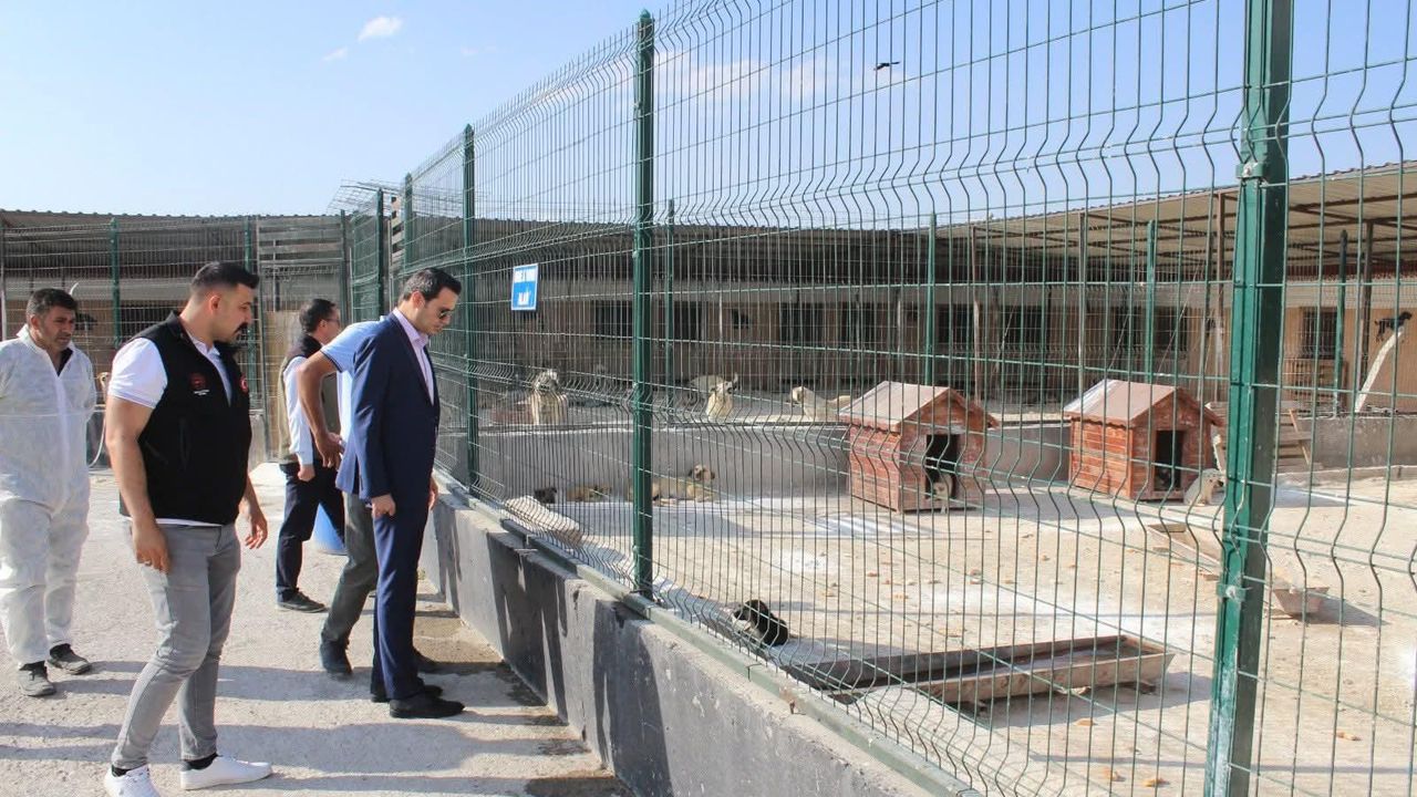 Selim Kaymakamı Mehmet Ali Semiz’den hayvan barınağına ziyaret