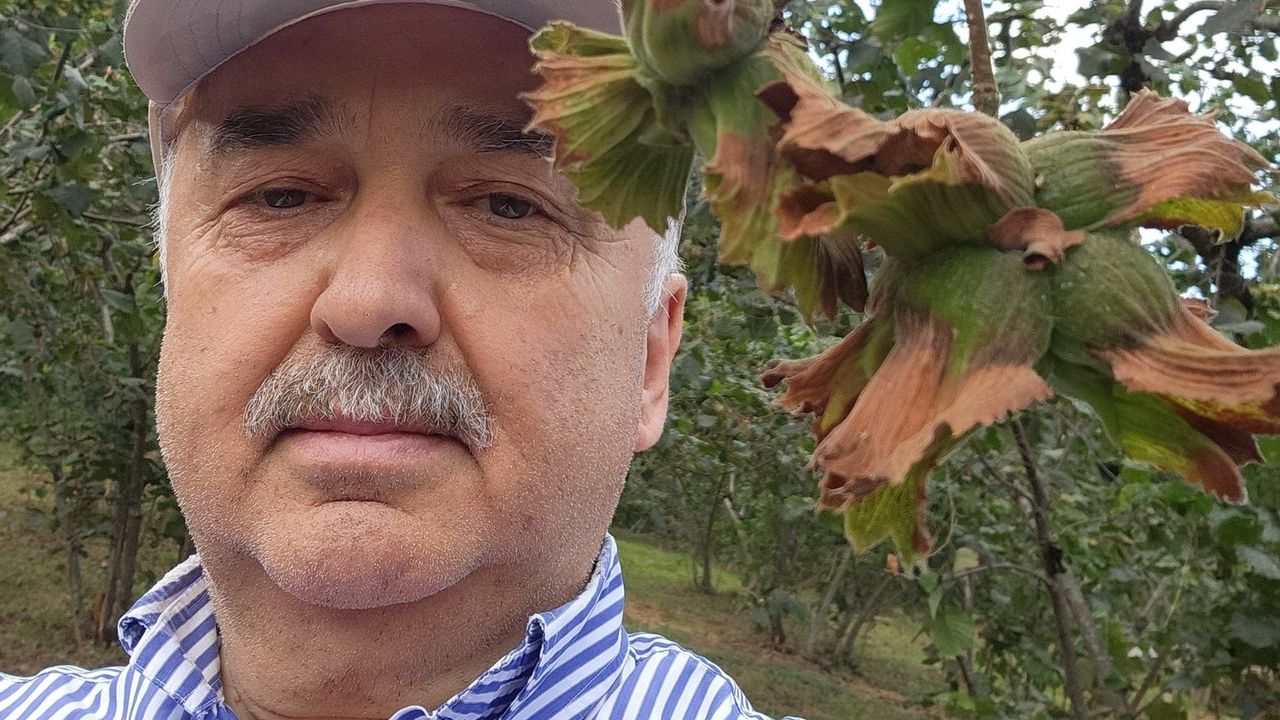 Giresun Milletvekili Ali Temür: Fındık emanet vermeyin