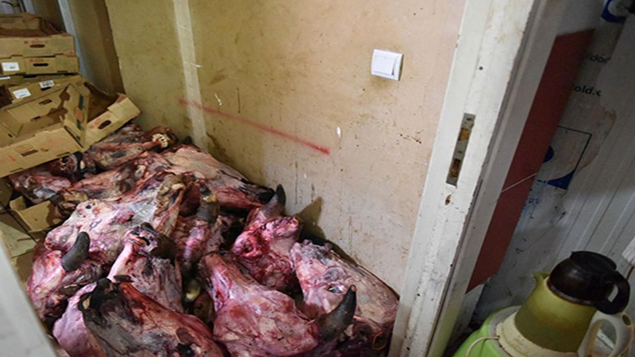 Antalya’da mide kaldırmaz görüntüler! Bir marketin deposunda çürük et skandalı