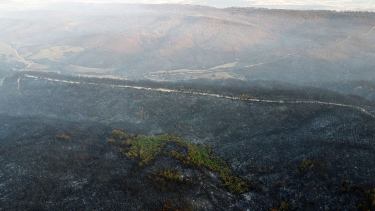 Gelibolu’daki yangından etkilenen köylerde hasar tespit çalışmaları sürüyor