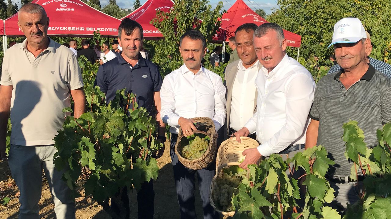 Başkan Büyükakın, İzmit’te üzüm hasadına katıldı
