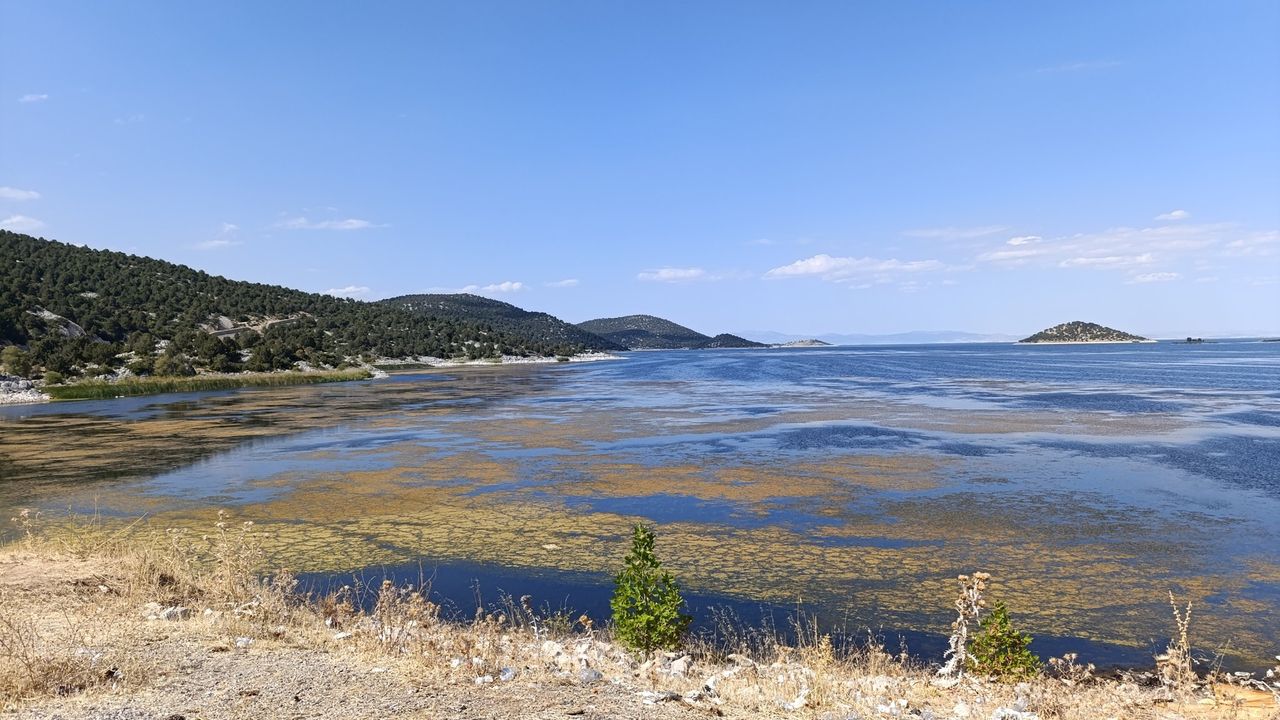 Kırkkepenekli Göleti’nde su çekilmesi balık ölümlerine yol açtı