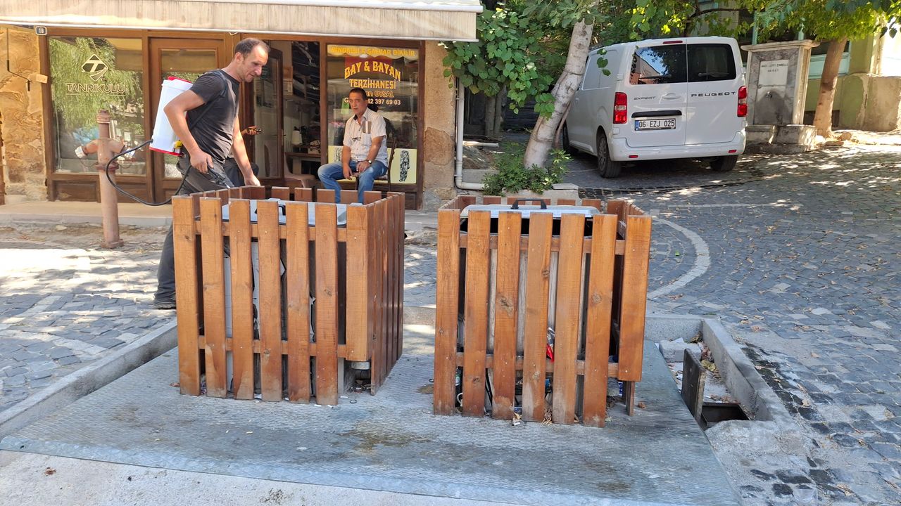 Beypazarı’nda haşereyle mücadele aralıksız sürüyor