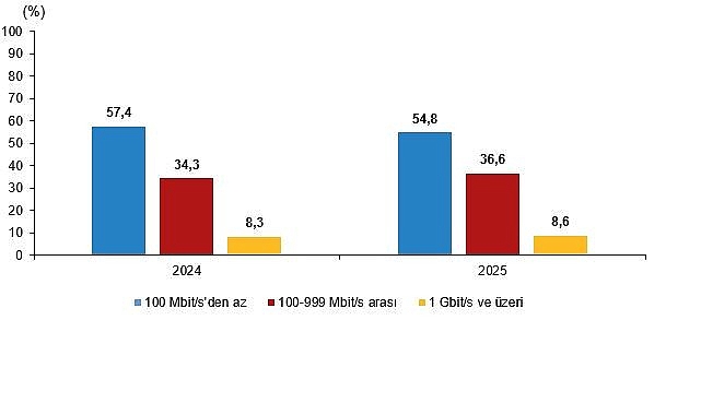 Girişimlerde Bilişim Teknolojileri Kullanım Araştırması, 2025