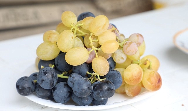 İnegöl Belediyesi’nden Çiftçiye Üzüm Hasadını Kolaylaştıran Destek