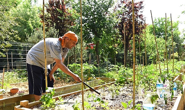 Kadıköy Bostanları’nda Kış Dönemi İçin Kayıtlar Başladı