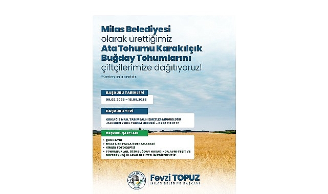 Milas Belediyesi’nden Üreticilere Karakılçık Buğday Tohumu Desteği