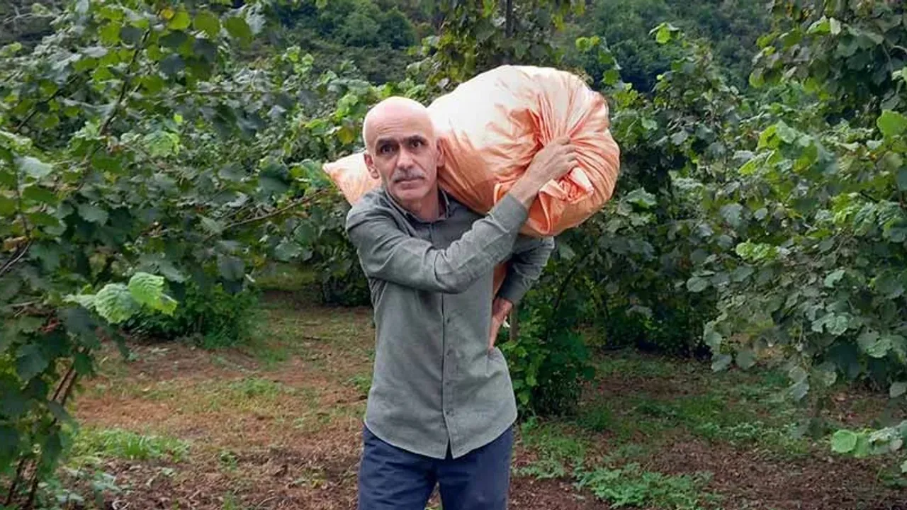 Fındık üreticisine kritik uyarı; İhtiyacınız yoksa satmayın