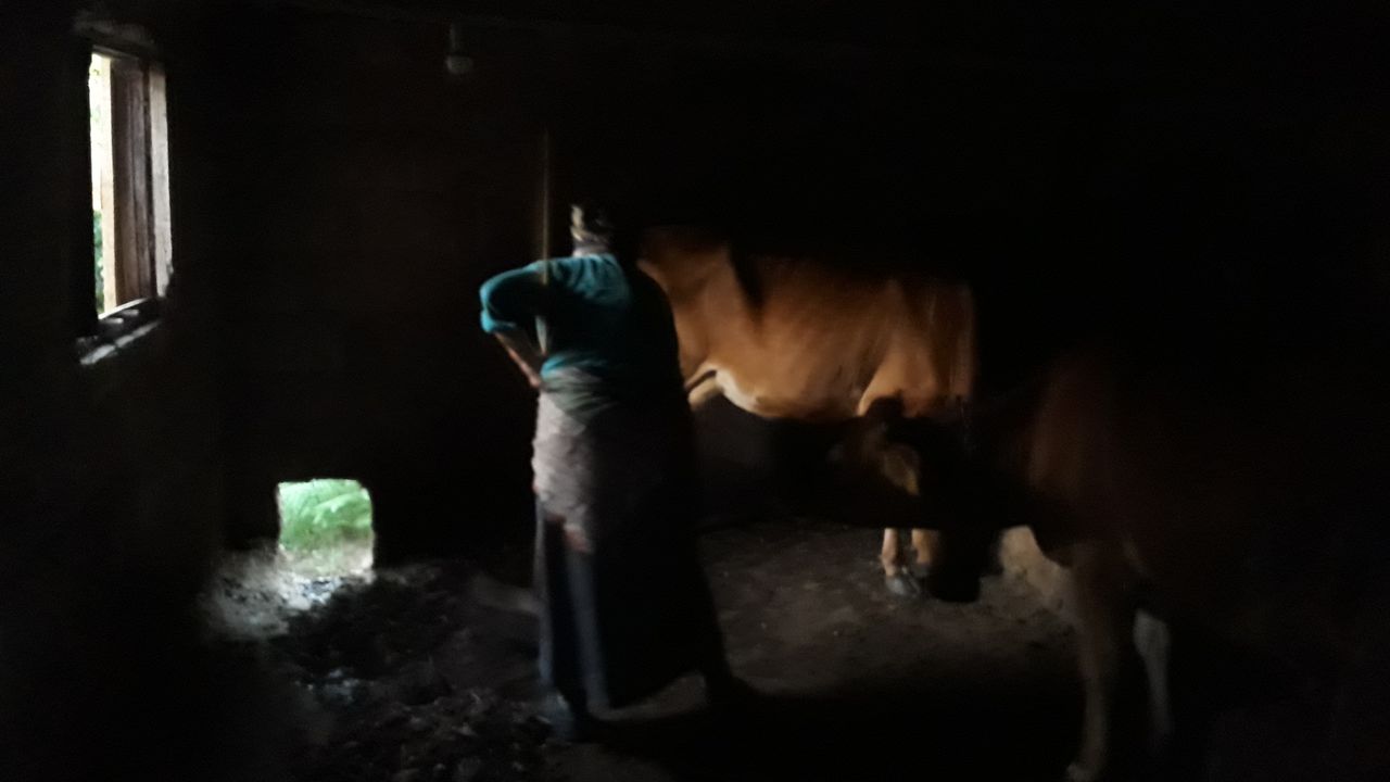 Karadeniz kadınının bitmeyen çilesi