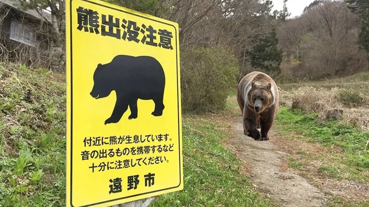 Japonya’da Belediyelere vahşi hayvanlara müdahale yetkisi