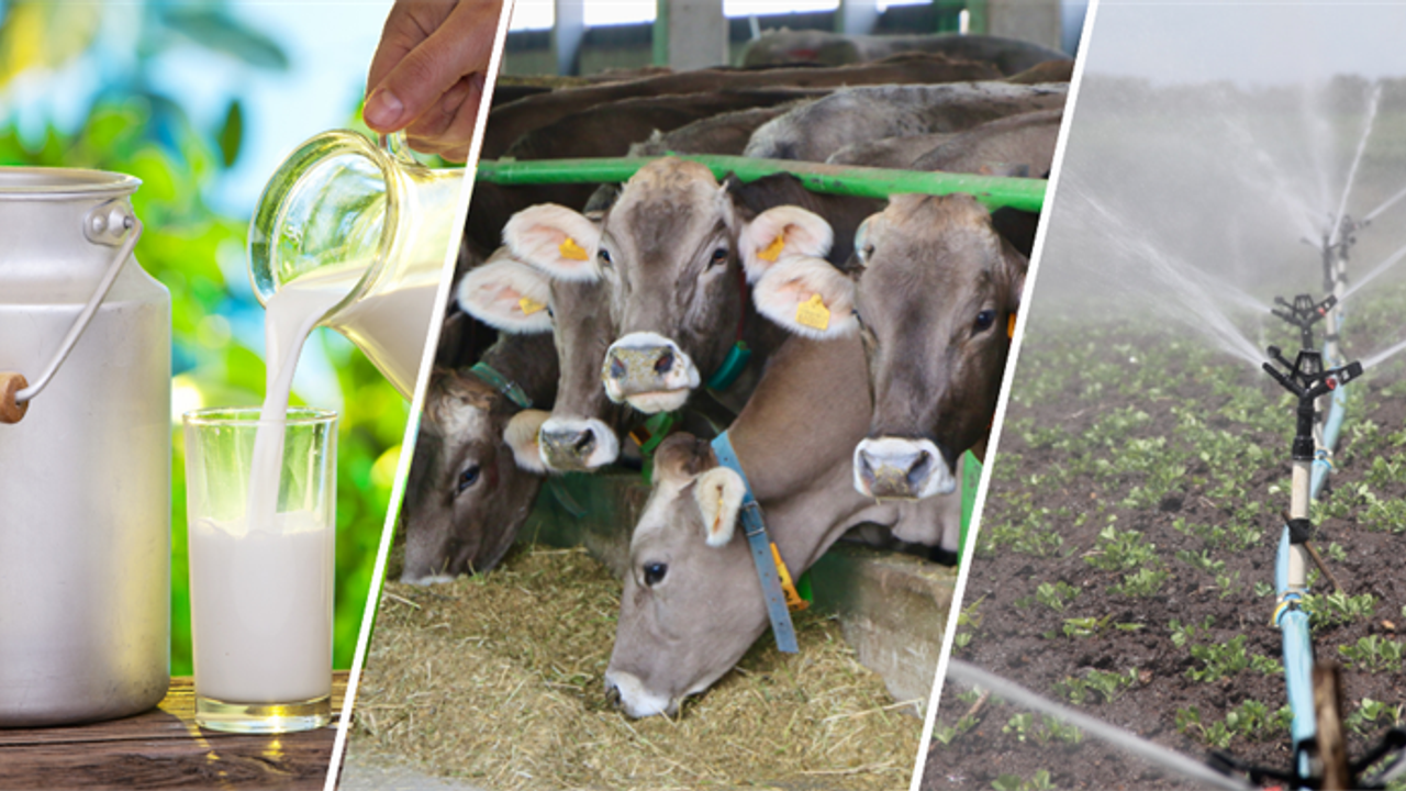 Tarımsal Destekleme Ödemeleri Hesaplara Yatmaya Başladı