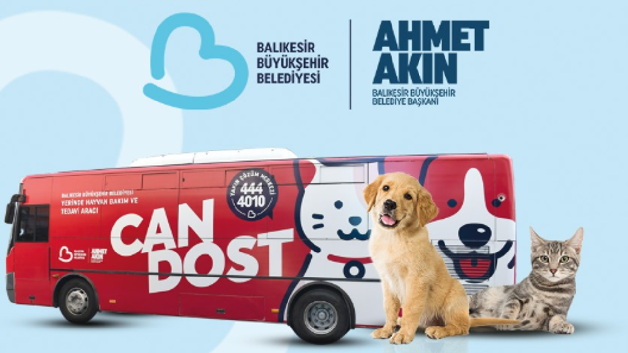 Can dostların bakım ve tedavileri tam gaz devam ediyor