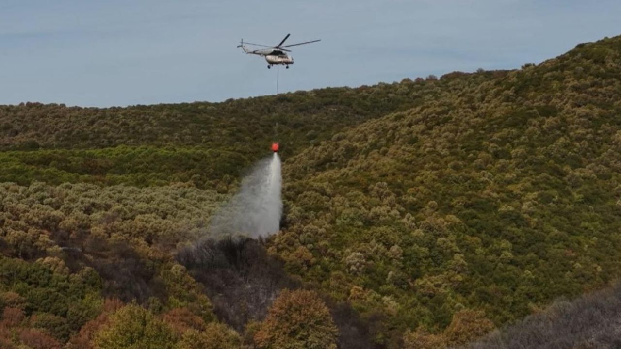 Bursa’da orman yangını kontrol altına alındı