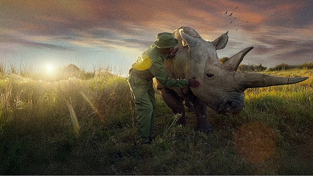 ‘Son Gergedanlar: Yeni Bir Umut’, 21 Eylül Pazar 20.00’de National Geographic Ekranlarında!