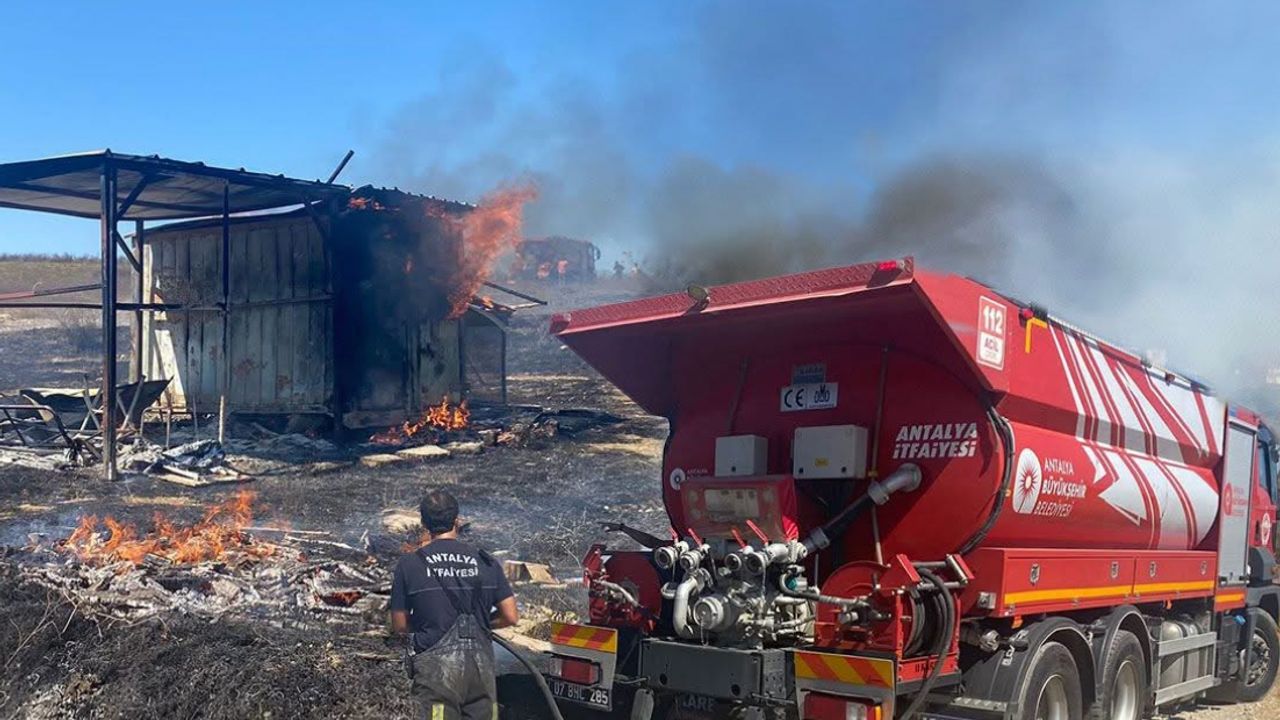 Kulübede yangın! 25 güvercin yanarak can verdi