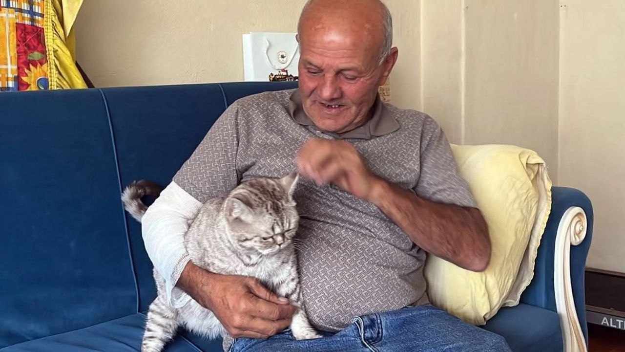 Kolunu ısıran köpeğe mama bırakıp hastaneye giden taksici: “Sevgimden vazgeçmem”