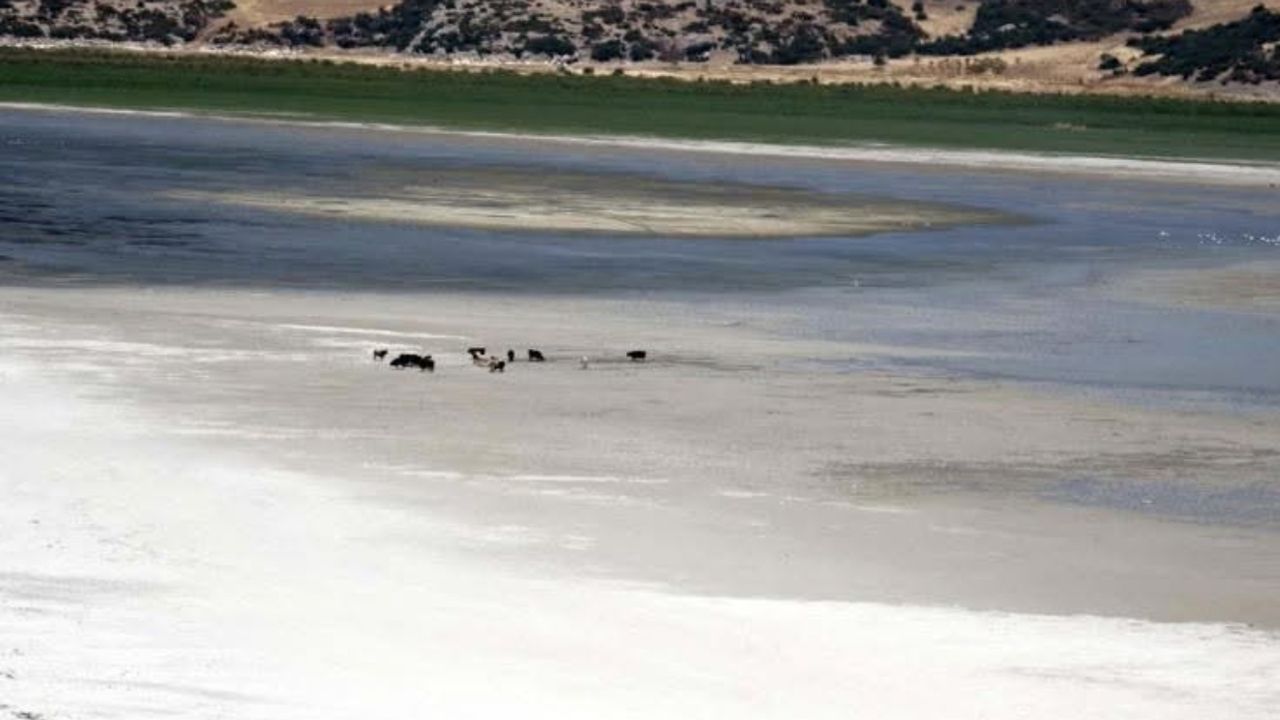 Isparta Eğirdir gölü doğanın insafına kaldı