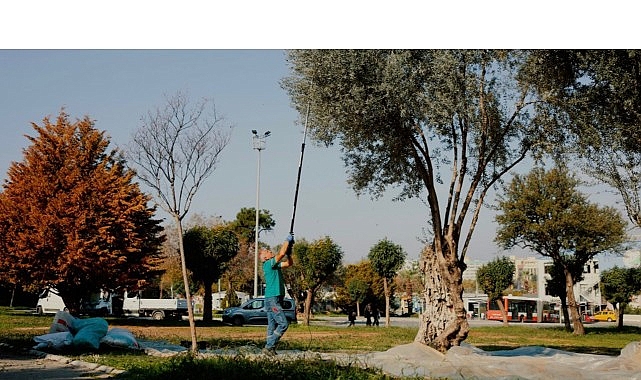 Balçova Belediyesi’nden Kentin Bereketine Sahip Çıkan Örnek Çalışma